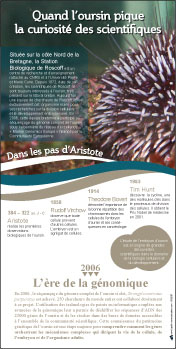 poster cnrs