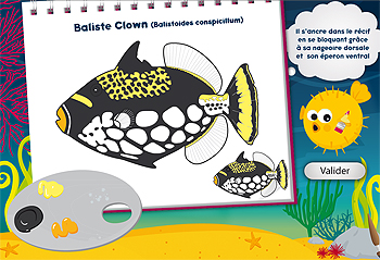 Bornes interactives oceanopolis